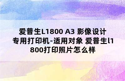 爱普生L1800 A3+影像设计专用打印机-适用对象 爱普生l1800打印照片怎么样